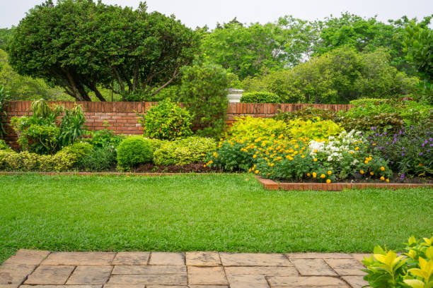 Setback Gardens