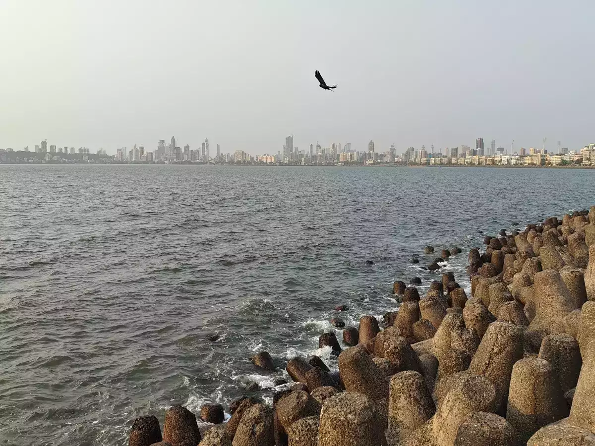 Over 100 maps forged to legalize coast properties in Mumbai SIT